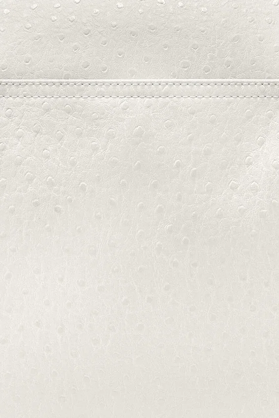 Posy Bag in White Ostrich Posy Bag in White Ostrich