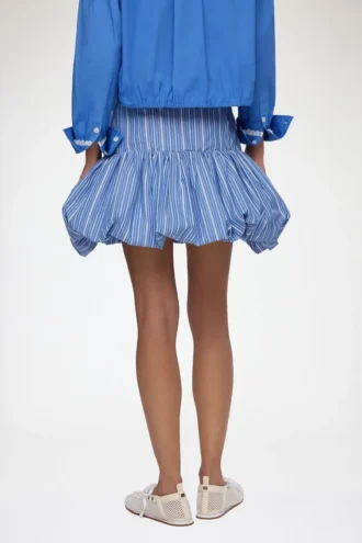 Skirt in Blue Stripes