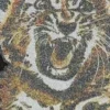 T-shirt with Tiger T-shirt with Tiger