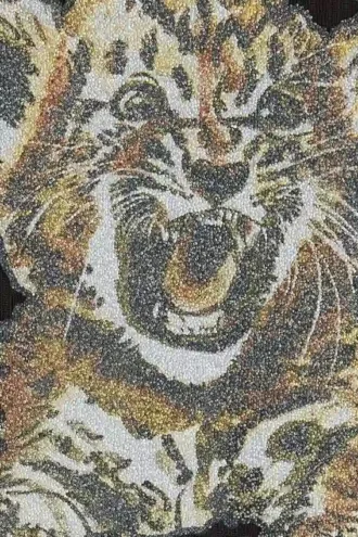 T-shirt with Tiger