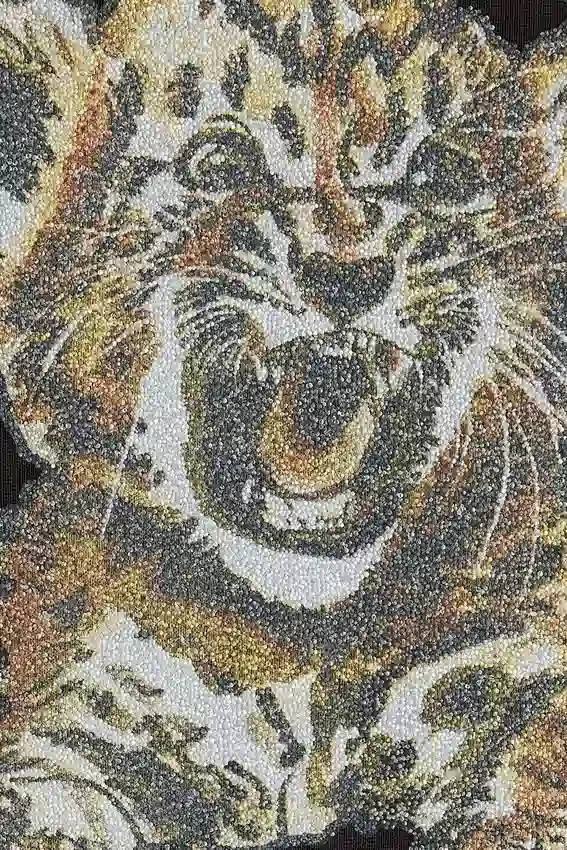 T-shirt with Tiger T-shirt with Tiger